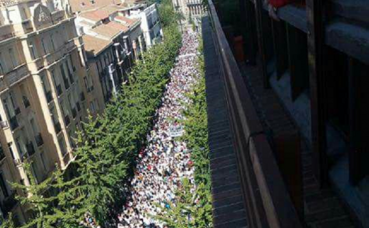 Multitudinaria manifestación contra la fusión hospitalaria del 16O.