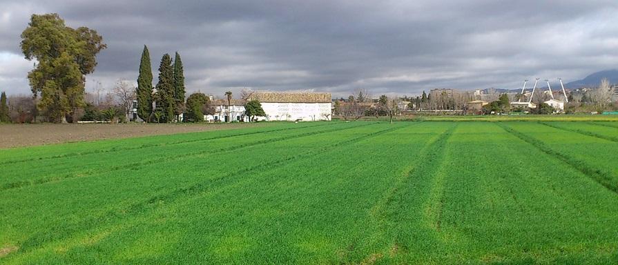 Imagen de archivo de la Vega.