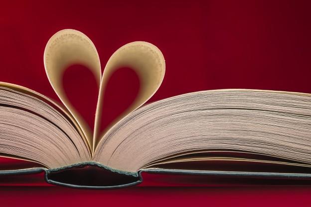 El amor a los libros  El Independiente de Granada