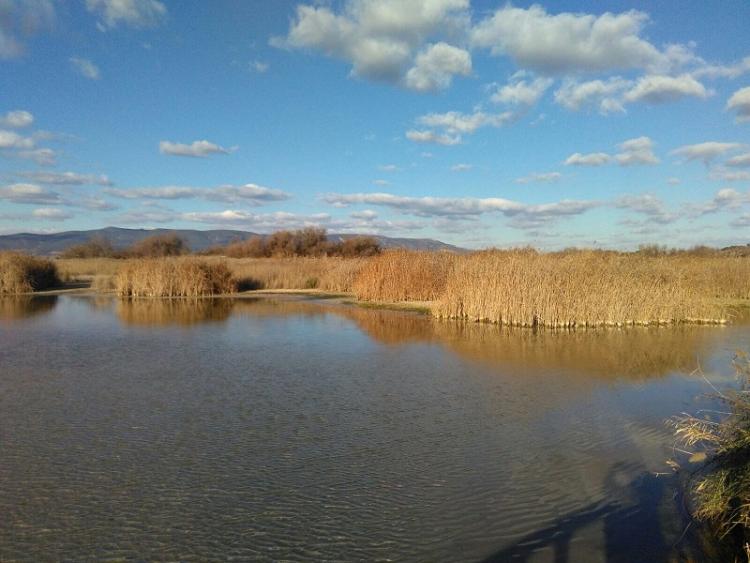 Un lugar al aire libre te ayudará a practicar la respiración.