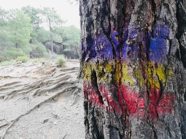 Detalle del Barranco de Víznar.