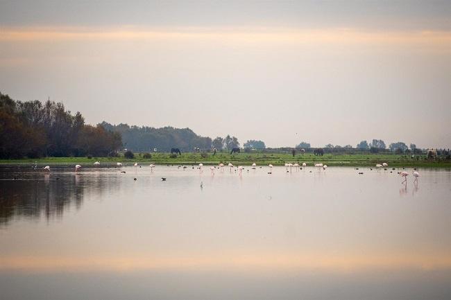 Imagen de Doñana el pasado noviembre.