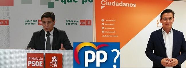 Salvador, en su etapa en el PSOE, en la Cs y la interrogante del PP.