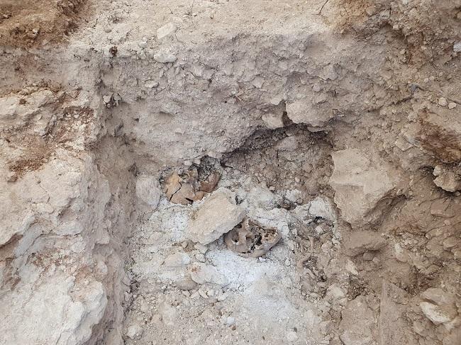 Primeros restos encontrados en la campaña del pasado año en la fosa de Padul. 