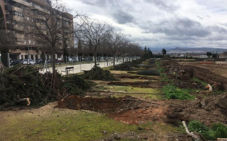 Tala de 65 ejemplares en La Rosaleda, a principios de este año.