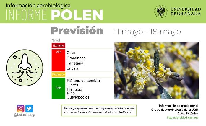 Previsión de niveles de polen en Granada. 