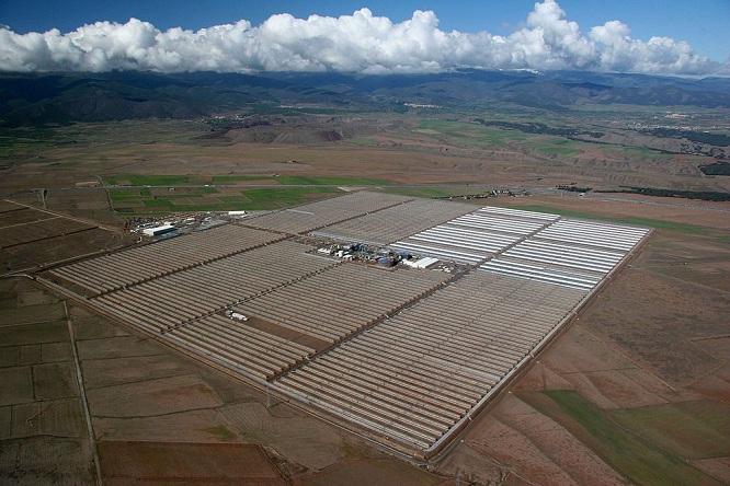 La investigación empezó tras una denuncia de la planta solar del Marquesado por el cultivo de tierras colindantes