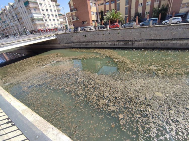 Estado del río, a la altura del puente sobre el Camino de Ronda.