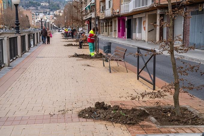 Árboles plantados esta semana en Ribera del Violón. 