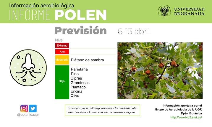 Información sobre niveles de polen en Granada. 