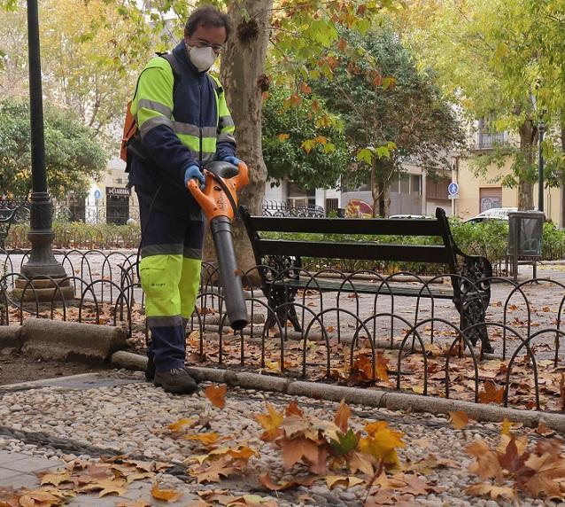 Recogida de hojas en la plaza de los Lobos, en una imagen de archivo. 