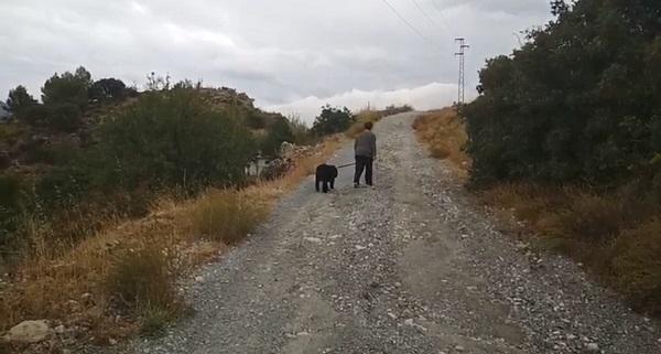 Los accesos están sin asfaltar. Los accesos están sin asfaltar.
