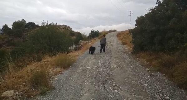 Los accesos están sin asfaltar.