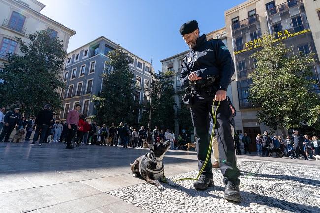El proyecto se lleva a cabo gracias a la total colaboración de la Policía Local de Granada. 