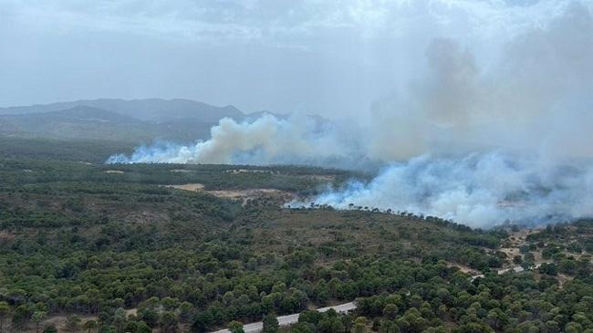 Incendio en Albuñuelas.