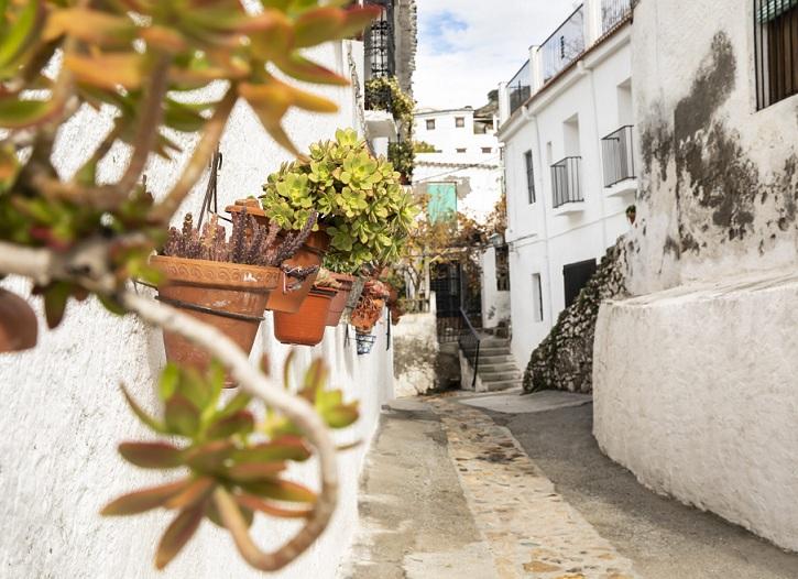 Una calle de la pedanía de Alcázar. 