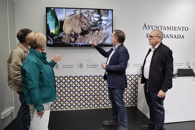 Presentación del plan de arbolado en los alcorques vacíos. 