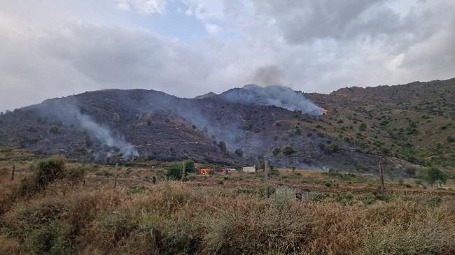 Zona afectada por el incendio en Alhama de Granada. 