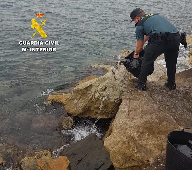 Un agente devuelve las ortiguillas al mar.