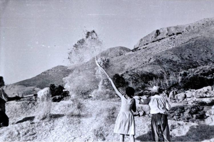 Ángela Cerrillos aventando en el cortijo Pedro Bueno, de Loja, en 1963.