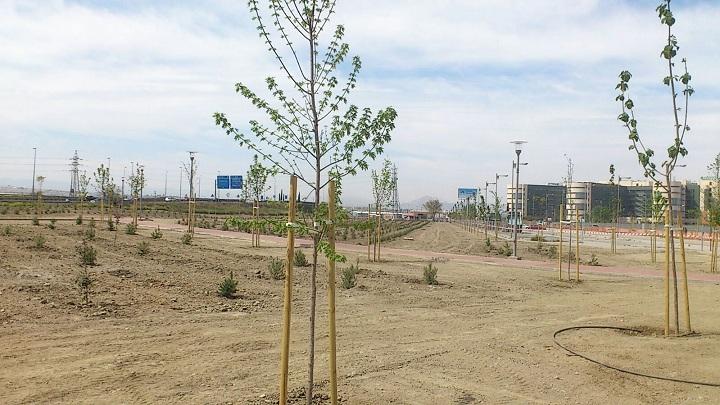 Entre los árboles hay pinos, encinas y cedros, entre otros Entre los árboles hay pinos, encinas y cedros, entre otros.