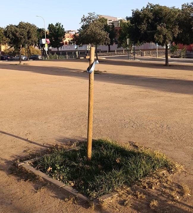 La retirada de arbolado es una de las quejas vecinales.