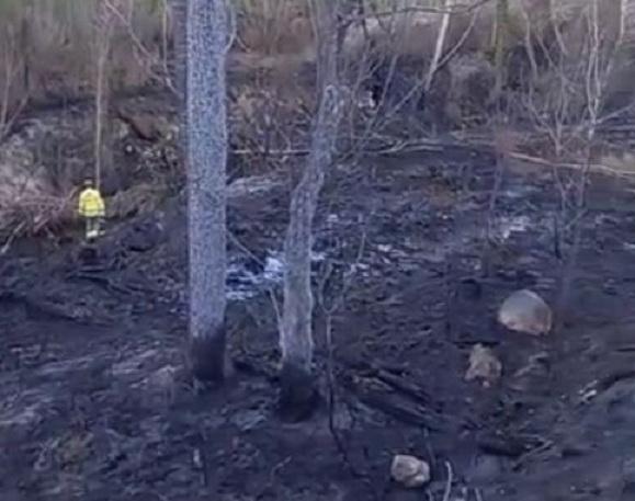Un bombero forestal, en el área quemada por el fuego. 