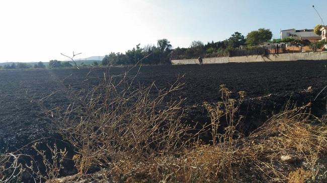 El fuego ha calcinado una zona de trigo.