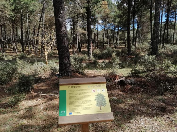 Zona del Robledal, en Alhama, desde donde partieron los senderistas.