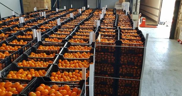 Naranjas recibidas por la entidad benéfica. 