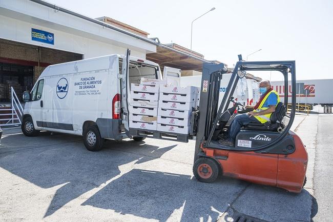 Tareas en el Banco de Alimentos de Granada.