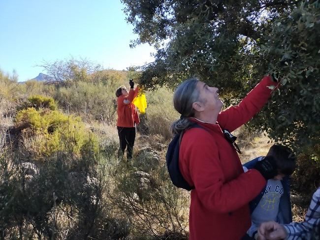 La siembra de bellotas se celebra por cuarto año consecutivo.