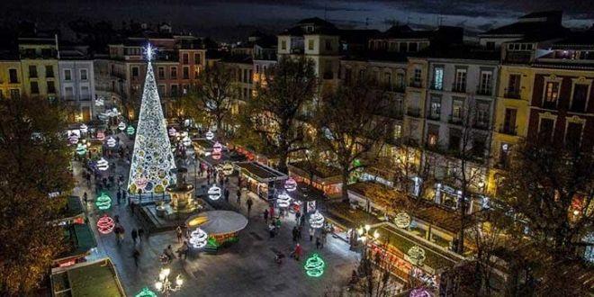 Bibrambla volverá a tener un árbol de más de 20 metros de altura. 