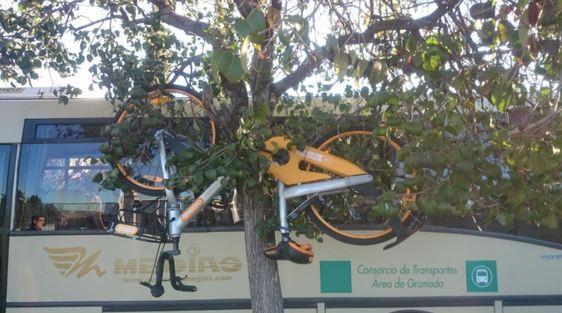 Bici de Obike colgada de un árbol.