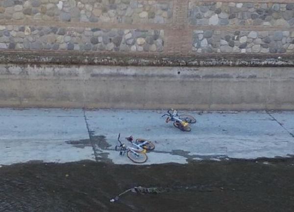 Dos bicis en el cauce urbano del Genil, en Puente Verde.