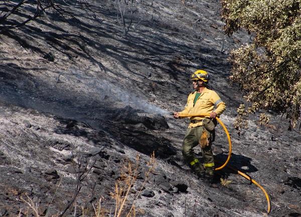 Imagen de un bombero del Infoca durante los trabajos de extinción del incendio de Polopos.
