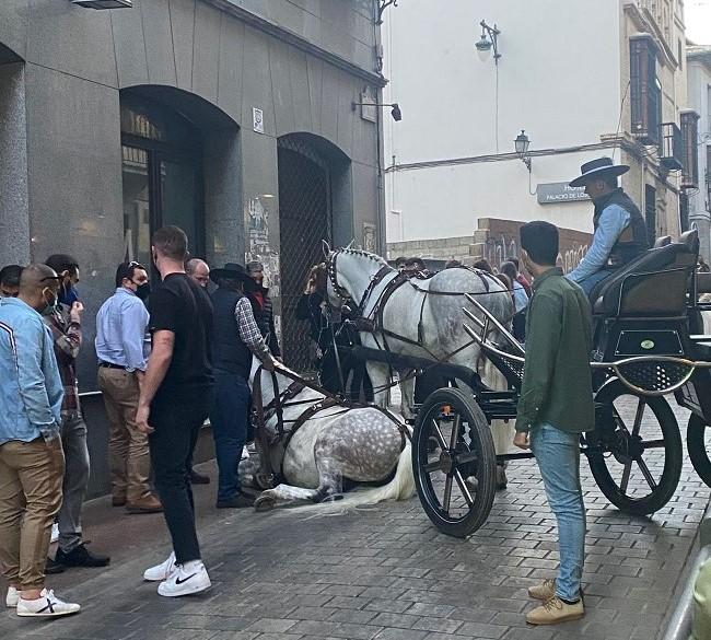 El accidente ha ocurrido a la entrada de la calle San Matías. El accidente ha ocurrido a la entrada de la calle San Matías.