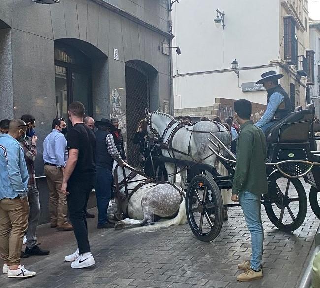 El accidente ha ocurrido a la entrada de la calle San Matías. 