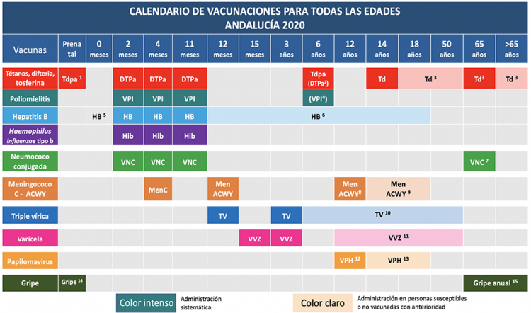 Calendario de vacunación.