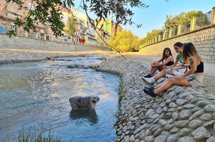 El río Genil, un lugar donde buscar algo de fresco en Granada. 