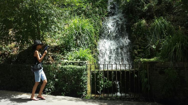 Buscar zonas de sombra o con agua es obligado en estos días. 