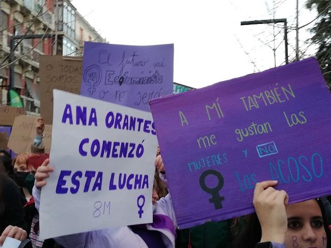 Carteles en la manifestación del 8M.