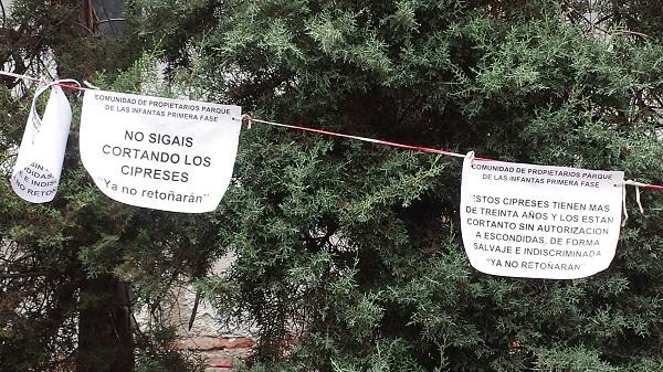 Mensajes colocados junto a los árboles. 