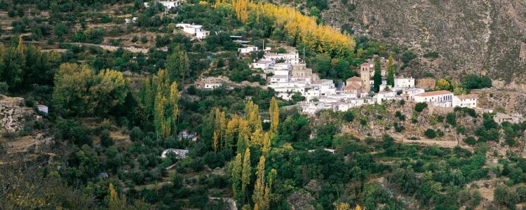 Los cuatro municipios están en la Alpujarra.