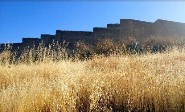 Aspecto que presenta el entorno de la muralla en San Miguel Alto.