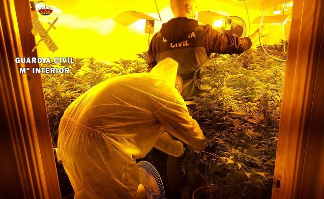 Agentes, en uno de los cultivos de marihuana. 