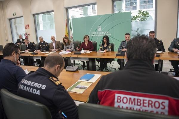 Reunión del Comité Asesor del Plan Infoca en Granada.