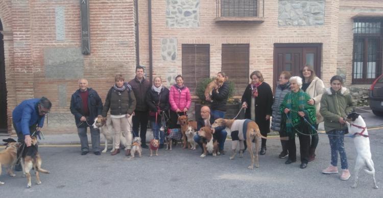 El concurso se celebrará el domingo, a partir de las 16.00 horas. El concurso se celebrará el domingo, a partir de las 16.00 horas.