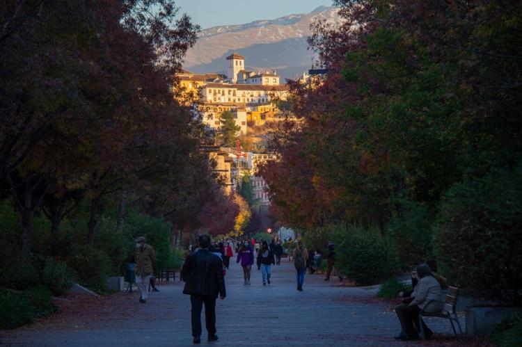 Bella imagen de la Avenida de la Constitución con el Albaicín al fondo.