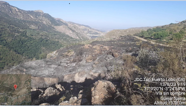 Paraje afectado por el incendio.